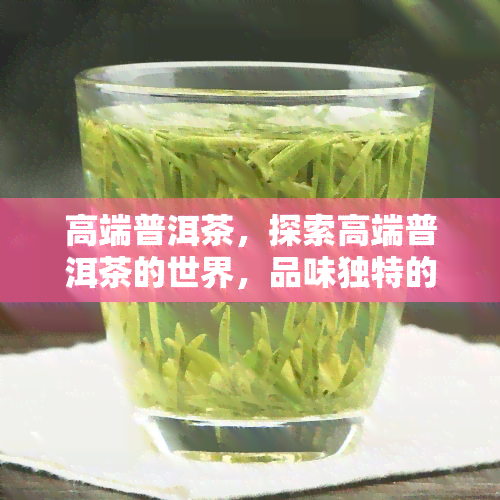 高端普洱茶，探索高端普洱茶的世界，品味独特的茶香和文化