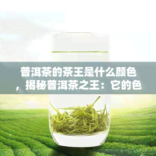 普洱茶的茶王是什么颜色，揭秘普洱茶之王：它的色泽究竟为何？