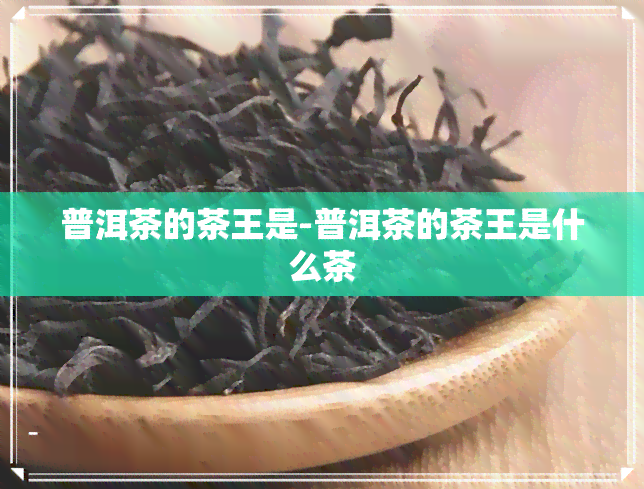 普洱茶的茶王是-普洱茶的茶王是什么茶