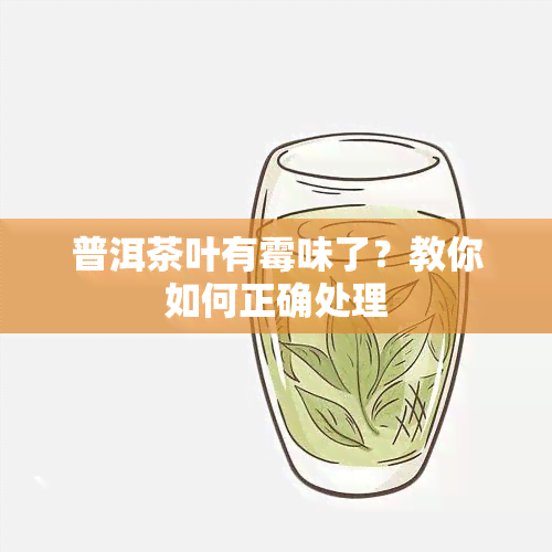 普洱茶叶有霉味了？教你如何正确处理