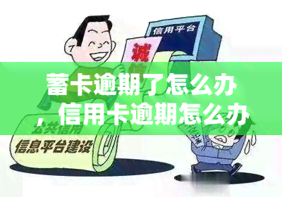 蓄卡逾期了怎么办，信用卡逾期怎么办？蓄卡逾期处理全攻略