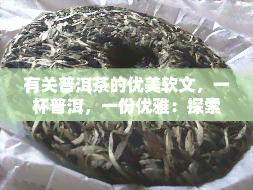 有关普洱茶的优美软文，一杯普洱，一份优雅：探索普洱茶的魅力与文化