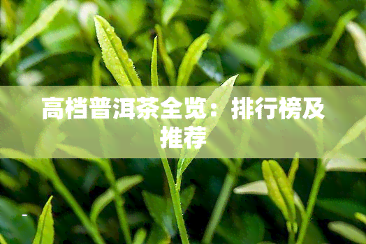 高档普洱茶全览：排行榜及推荐