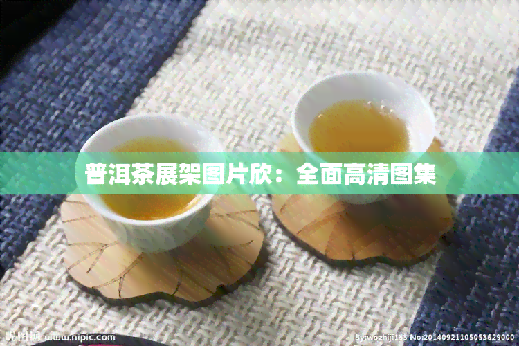 普洱茶展架图片欣：全面高清图集