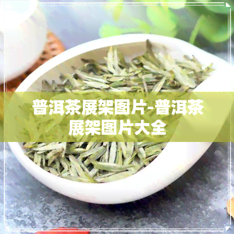 普洱茶展架图片-普洱茶展架图片大全