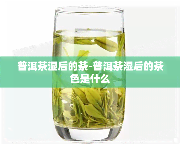 普洱茶湿后的茶-普洱茶湿后的茶色是什么