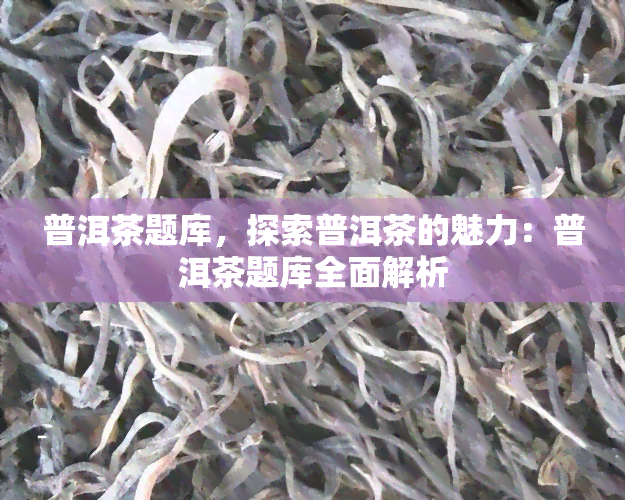 普洱茶题库，探索普洱茶的魅力：普洱茶题库全面解析