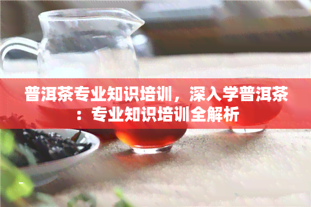 普洱茶专业知识培训，深入学普洱茶：专业知识培训全解析