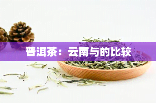 普洱茶：云南与的比较