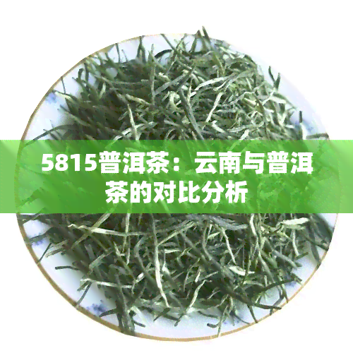 5815普洱茶：云南与普洱茶的对比分析