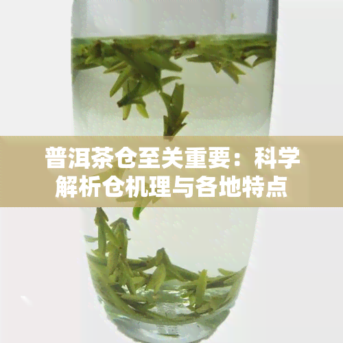 普洱茶仓至关重要：科学解析仓机理与各地特点