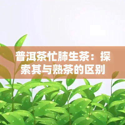 普洱茶忙肺生茶：探索其与熟茶的区别与联系