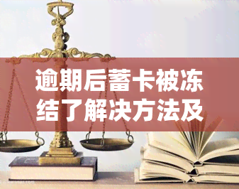 逾期后蓄卡被冻结了解决方法及如何解冻