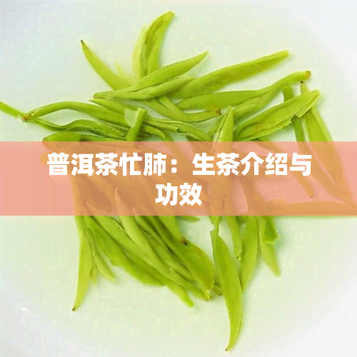 普洱茶忙肺：生茶介绍与功效