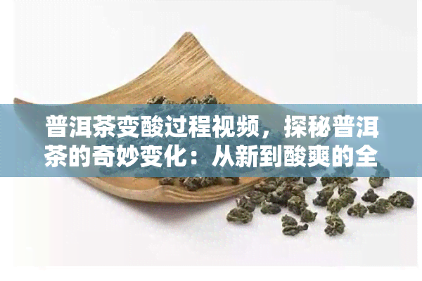 普洱茶变酸过程视频，探秘普洱茶的奇妙变化：从新到酸爽的全过程！