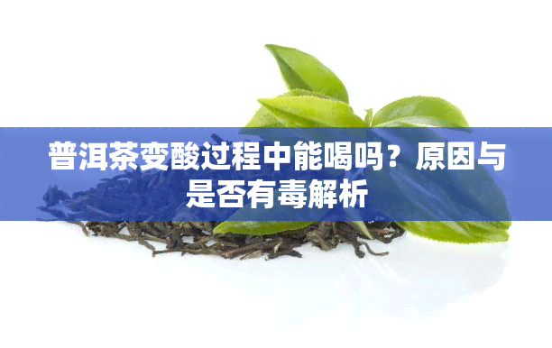 普洱茶变酸过程中能喝吗？原因与是否有解析