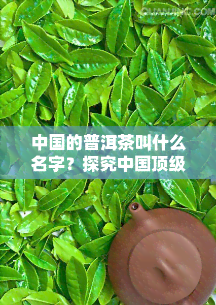 中国的普洱茶叫什么名字？探究中国顶级普洱茶的奥秘