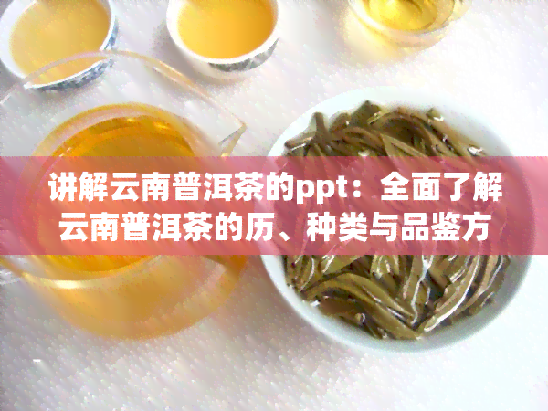 讲解云南普洱茶的ppt：全面了解云南普洱茶的历、种类与品鉴方法