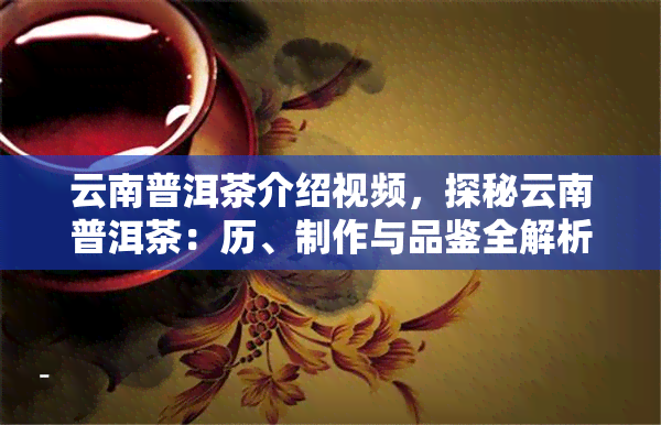 云南普洱茶介绍视频，探秘云南普洱茶：历、制作与品鉴全解析