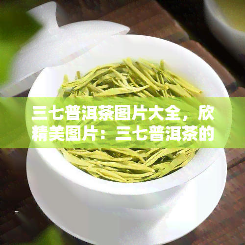 三七普洱茶图片大全，欣精美图片：三七普洱茶的全貌大 *** 