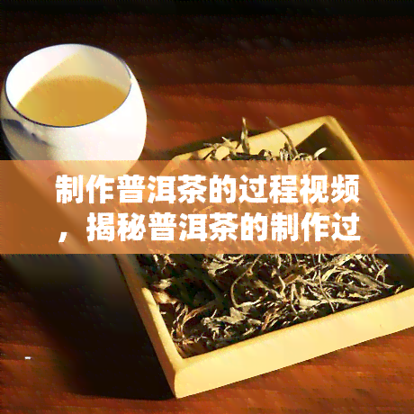 制作普洱茶的过程视频，揭秘普洱茶的制作过程：一杯好茶的背后故事