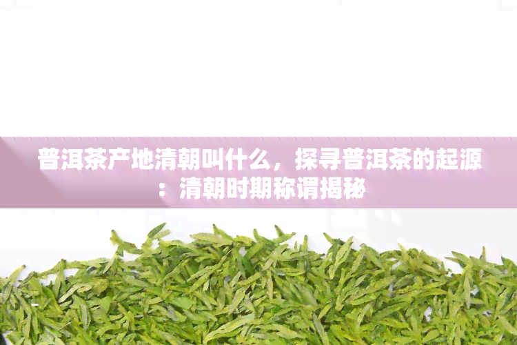 普洱茶产地清朝叫什么，探寻普洱茶的起源：清朝时期称谓揭秘