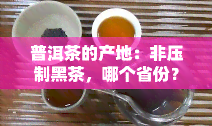 普洱茶的产地：非压制黑茶，哪个省份？