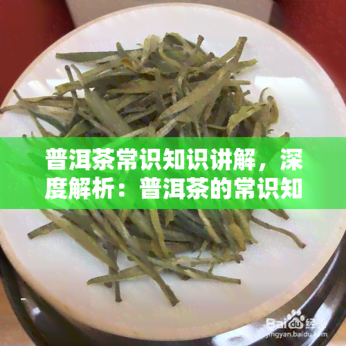 普洱茶常识知识讲解，深度解析：普洱茶的常识知识与品鉴技巧