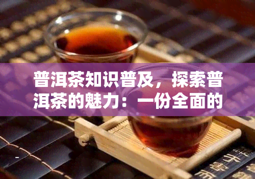 普洱茶知识普及，探索普洱茶的魅力：一份全面的知识普及指南