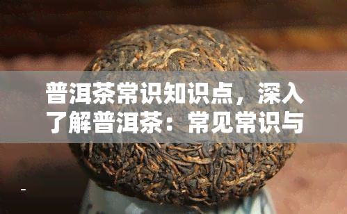 普洱茶常识知识点，深入了解普洱茶：常见常识与知识点解析