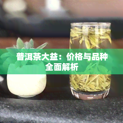 普洱茶大益：价格与品种全面解析