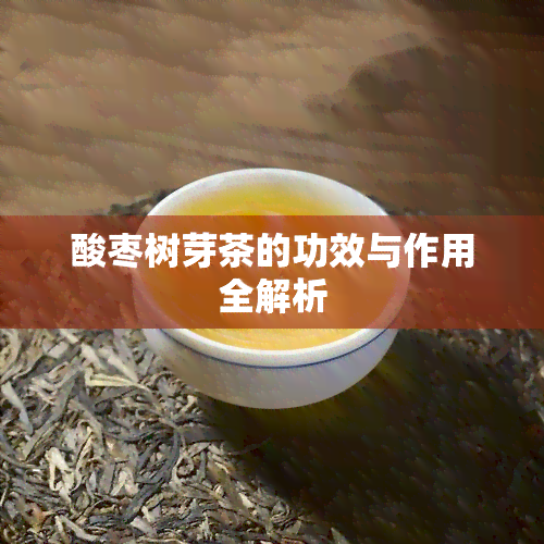 酸枣树芽茶的功效与作用全解析