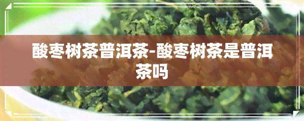 酸枣树茶普洱茶-酸枣树茶是普洱茶吗