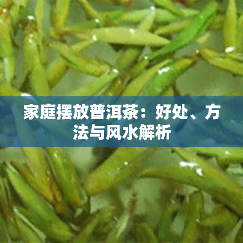 家庭摆放普洱茶：好处、方法与风水解析