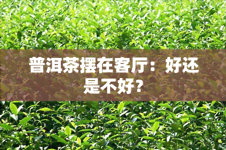 普洱茶摆在客厅：好还是不好？