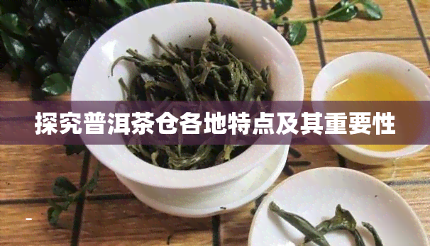 探究普洱茶仓各地特点及其重要性