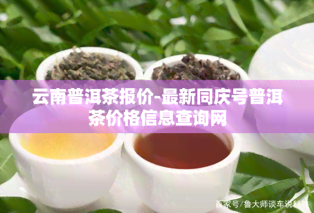 云南普洱茶报价-最新同庆号普洱茶价格信息查询网