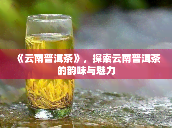 《云南普洱茶》，探索云南普洱茶的韵味与魅力