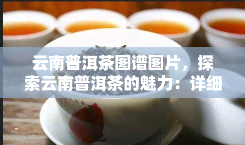 云南普洱茶图谱图片，探索云南普洱茶的魅力：详细图谱解析与品鉴指南