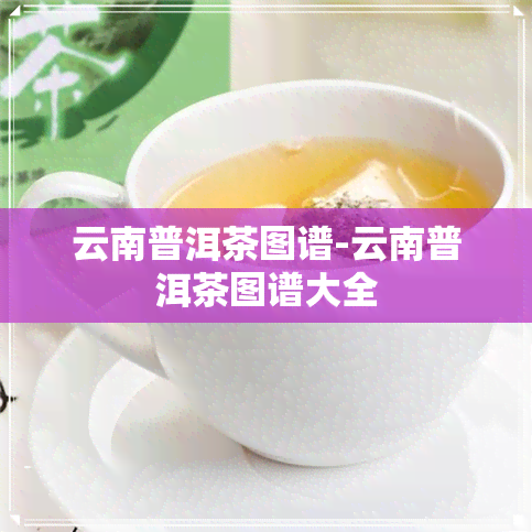 云南普洱茶图谱-云南普洱茶图谱大全