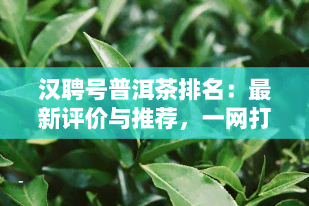 汉聘号普洱茶排名：最新评价与推荐，一网打尽！