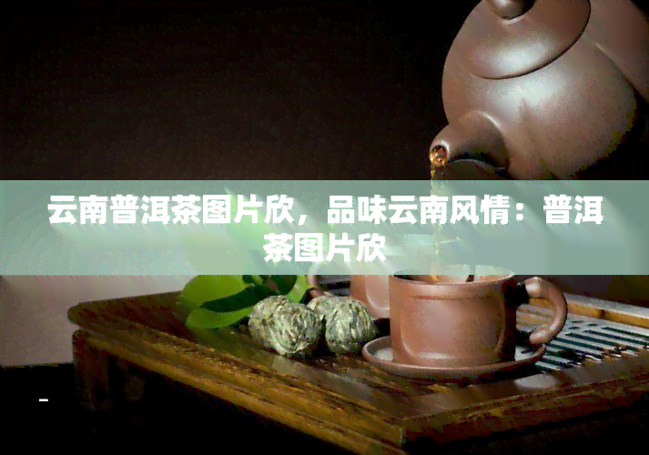 云南普洱茶图片欣，品味云南风情：普洱茶图片欣