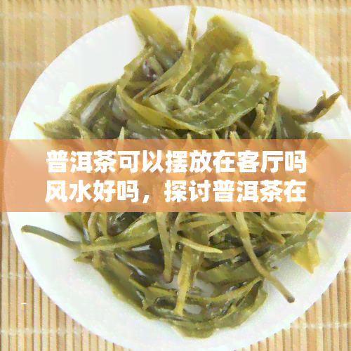 普洱茶可以摆放在客厅吗风水好吗，探讨普洱茶在客厅摆放的风水意义