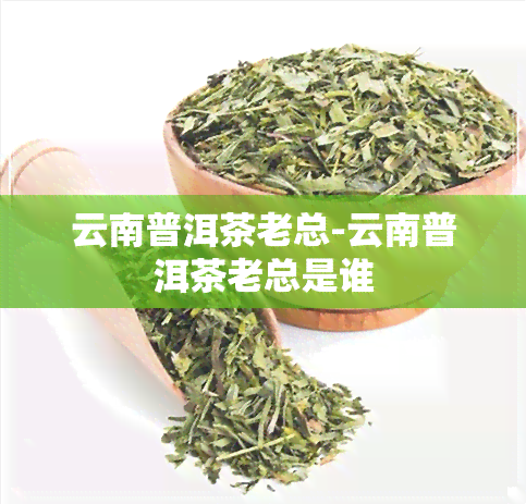 云南普洱茶老总-云南普洱茶老总是谁