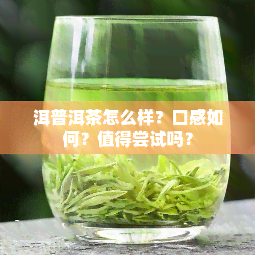 洱普洱茶怎么样?口感如何?值得尝试吗?