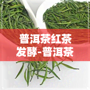 普洱茶红茶发酵-普洱茶红茶发酵时间