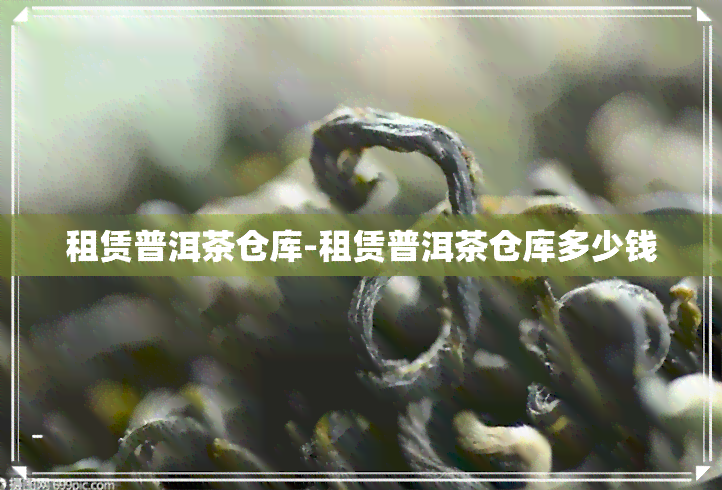 租赁普洱茶仓库-租赁普洱茶仓库多少钱