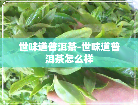 世味道普洱茶-世味道普洱茶怎么样