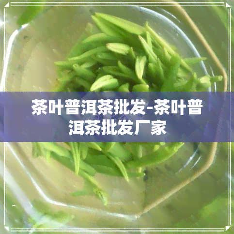 茶叶普洱茶批发-茶叶普洱茶批发厂家