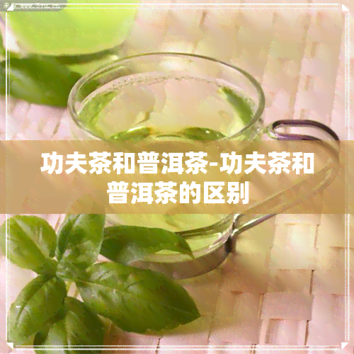 功夫茶和普洱茶-功夫茶和普洱茶的区别